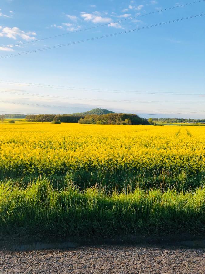 Nowa Wies GrodziskaNibylandia Motylkowa别墅 外观 照片