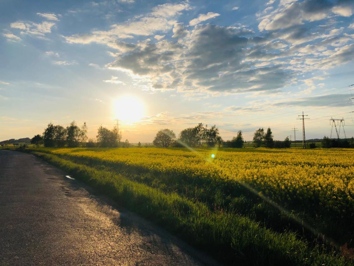 Nowa Wies GrodziskaNibylandia Motylkowa别墅 外观 照片